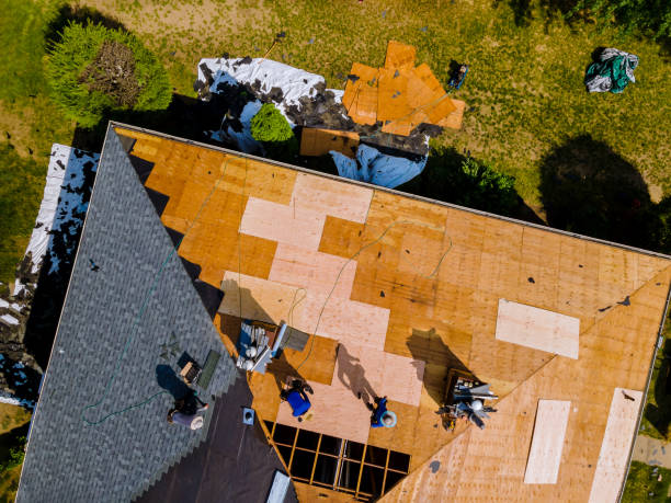 Best Storm Damage Roof Repair  in Milton, LA
