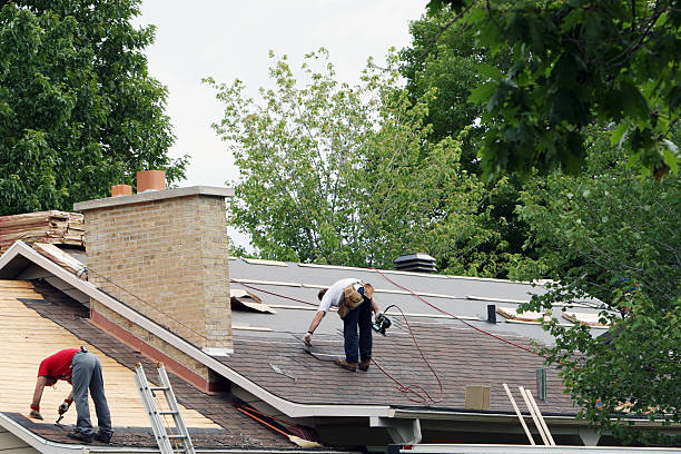 Best Roof Gutter Cleaning  in Milton, LA